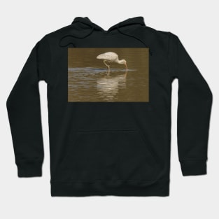 Spoonbill 02 Hoodie